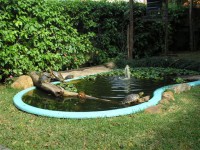 /album/criadouro-estrutura-e-passaros/tartarugas-1-jpg1/